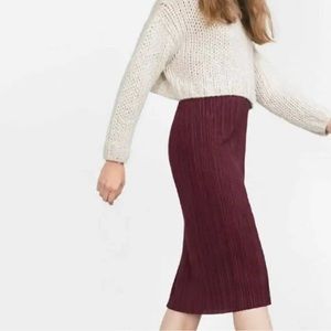 Zara Pleated Skirt